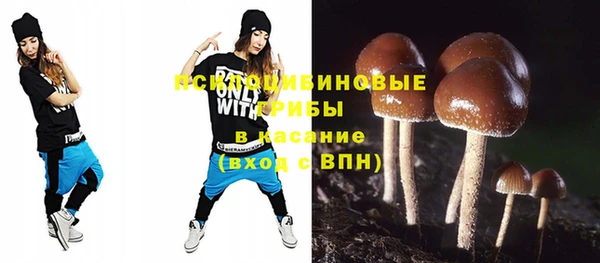 apvp Вязники