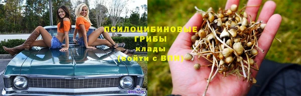 гашиш Вяземский