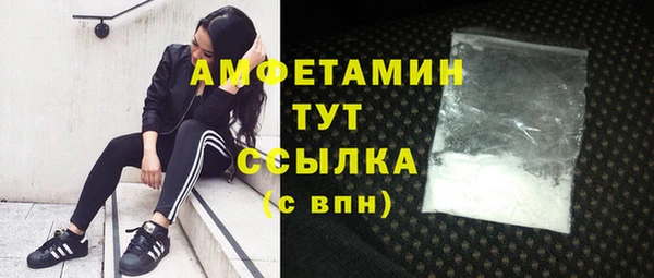прущие грибы Надым