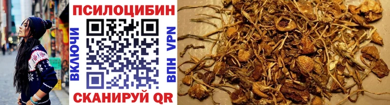 Псилоцибиновые грибы MAGIC MUSHROOMS  MEGA   Олёкминск 