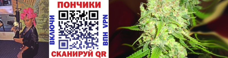 дарк нет наркотические препараты  где можно купить   Олёкминск  Каннабис планчик 